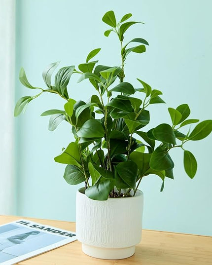 Ewtogift 19'' Artificial Ficus Plant in White Textured Ceramic Pot Realistic Faux Greenery with Lifelike Leaves Fake Plants for Indoor Home Office Bathroom Shelf Desk Tabletop Decor
