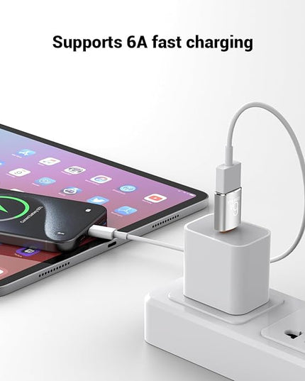 Pastall 10 Pack 10Gbps/120W USB C to USB3.1 Adapter, Silver Type C Male to USB Female Adapter for Smartphone, PC, Laptop, Tablet, Keyboard etc.
