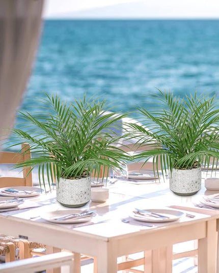Hollyone Large Artificial Potted Plants Fake Palm Plants 16" Faux Tropical Palm Plant Tree in Ceramic Pots Bohemian for Home Room Office House Indoor Decoration