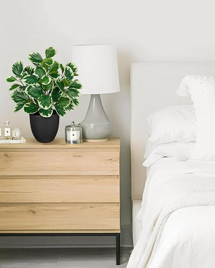 Villa Como 14.5" Artificial Plants Indoor Home Decor, Fake Potted Silk Plants for Shelves Living Room Decorative, Small Artificial Office Desk Plant in Pots, Faux Peperomia Hope Tropical House Plant