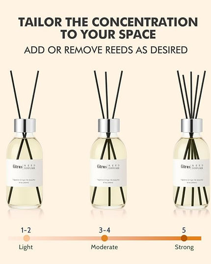 Clesh Reed Diffuser Set, 6.7 oz Citrus Scented Diffuser with Sticks, Home Fragrance Reed Diffuser for Bathroom Shelf Decor
