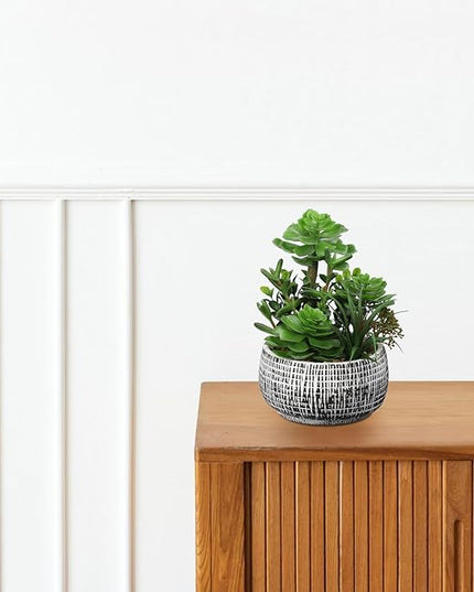 Villa Como 10” Large Succulents Plants Artificial in Ceramic Pots Potted Faux Succulent Arrangement with Black Bowl Pots Fake Desk Succulents Plants for Home Bathroom Shelf Table Indoor Decor