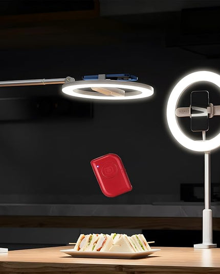 NEEWER Entry Level Version 10" 7W LED Selfie Ring Light with Desk Clamp Stand Phone Holder for iPhone, Laptop Video Conference Streaming Recording Makeup Lighting, 3 Tones 3000mAh Rechargeable, N16