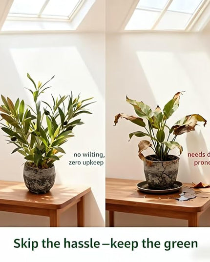 Ewtogift Indoor Faux Olive Plant 12 inch Artificial Silk Leaves in Elegant Planter Perfect Fake Olive Branches with Realistic Trunk and Lifelike Fruits Tabletop Greenery Decor for Home Office