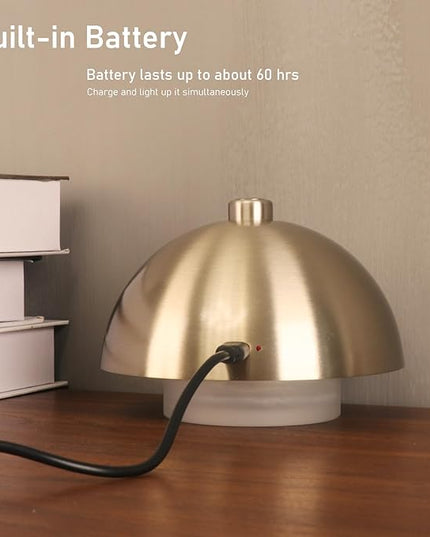 Modern Table Lamp Cordless Portable Desk Lamp, 2700K Stepless Dimming Rechargeable Battery Operated LED Lights for Bedroom, USB-C Charging, Restaurant/Bar/Night Light/Gifts (Brushed Nickel)