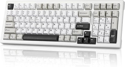 Wireless Game Mechanical Keyboard BT5.0/2.4GHz/USB, Multi-Color LED with 18+ Modes, Hot-Swappable Custom Keyboard, Red Creamy Switches, Gaming Keyboard for PC/Mac (Black White)