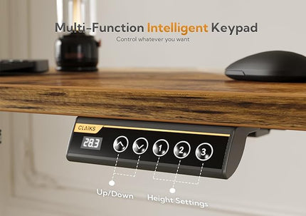 YDN Standing Desk with Drawers, Electric Standing Desk Adjustable Height, Stand Up Desk Computer Workstation, 40 Inch, Rustic Brown