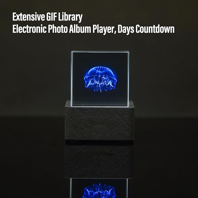 Hamwesh LED Holographic Photo Display, WiFi Smart Weather Station Digital Time Clock with GIF Animations and Custom Photo Album Player Creative Cool Desktop Decor for Car