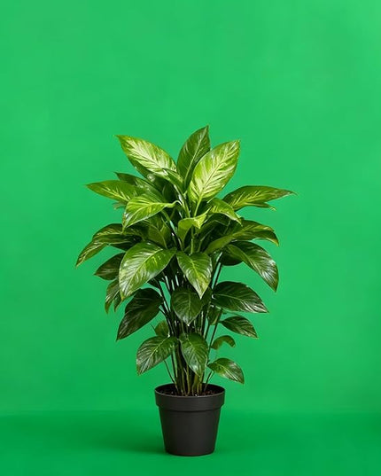 Green Screen Backdrop 10x20ft Photo Backdrop Chromakey Muslin Portrait Green Backdrop for PS Keying/Video Creation/Studio Portrait Shoots