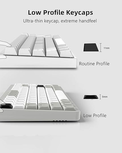 Womier Low Profile Keycaps - Shine Through Keycaps 60 65 75 100 Percent, Keyboard Key caps PBT Full Size for Cherry Gateron MX Switches Mechanical Keyboard, Grey/White