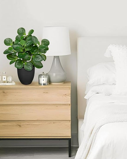 Villa Como 14.5" Artificial Plants Indoor Home Decor, Fake Potted Silk Plants for Shelves Living Room Decorative, Small Artificial Office Desk Plants in Pots, Faux Peperomia Hope Tropical House Plant