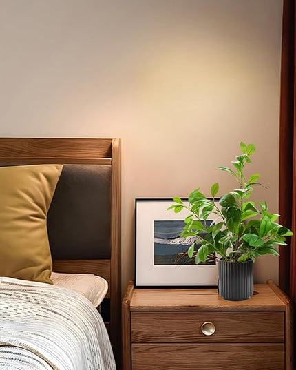 EZBOHO 16 inch Artificial Plants Indoor Realistic Touching Evergreen Leaf Fake Plant with Creamic Black Pot for Home Office Living Room Bathroom Office Table Bookshelf Decor