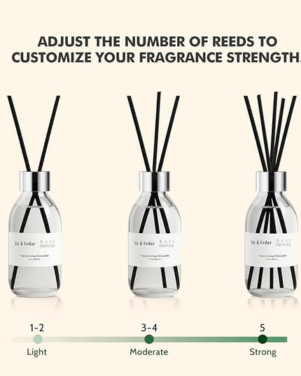 Clesh Reed Diffuser Set, 6.7 oz Cedar Scented Diffuser with Sticks, Home Fragrance Reed Diffuser for Bathroom Shelf Decor
