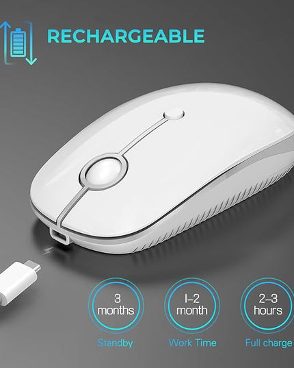 VssoPlor Type C Wireless Mouse, Dual Mode 2.4G Wireless Mouse USB C Cordless Mice with Nano USB and Type C Receiver Compatible with PC, Laptop, MacBook and All Type C Devices-White Silver