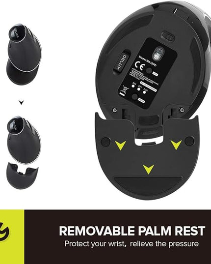 DELUX Wireless Ergonomic Vertical Mouse, Rechargeable Ergo Mouse for large Hands, Slient Click, Removable Wrist Rest, Up to 4000 DPI, 6 Buttons,2.4G Dual Mode, Compatible with Laptop/PC (M618PD-Black)