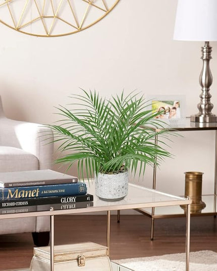 Hollyone Large Artificial Potted Plants Fake Palm Plants 16" Faux Tropical Palm Plant Tree in Ceramic Pots Bohemian for Home Room Office House Indoor Decoration