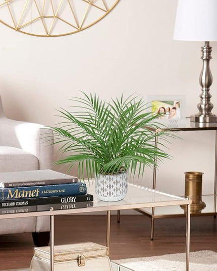 Hollyone Large Artificial Potted Plants Fake Palm Plants 16" Faux Green Plant Plastic Ceramic Tropical Palm Tree in Pots Bohemian for Home Room Office House Indoor Decorative
