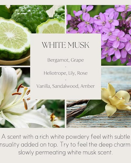 396 st. Preserved Baby's Breath Flower Reed Diffuser, White Musk, 200ml(6.7oz) / Reed Diffuser Sets, Home Fragrance, Scented Oils, Home & Bathroom Décor