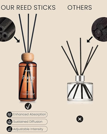 M&SENSE Seasalt Coconut Reed Diffuser: 6.3 fl oz Non-Toxic Aroma Set with Sticks, Light & Subtle Fragrance, Long-Lasting Natural Essential Oil Gifts for Bedroom, Shelf Decor & Small Spaces