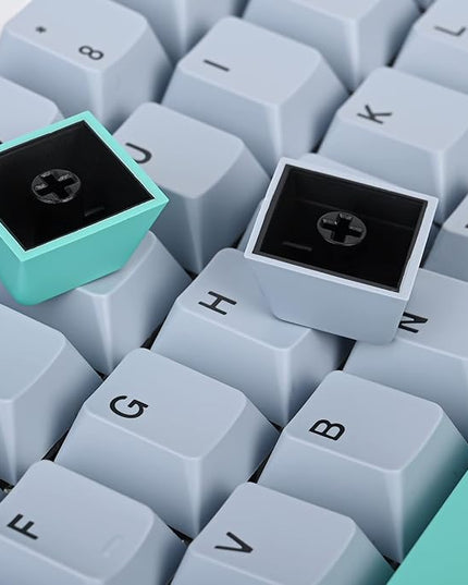 Cherry Profile PBT Keycaps, 171 Key Double Shot Custom Key caps Set for Cherry MX Switches Mechanical Keyboard (Shark)