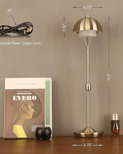 Modern Table Lamp Cordless Portable Desk Lamp, 2700K Stepless Dimming Rechargeable Battery Operated LED Lights for Bedroom, USB-C Charging, Restaurant/Bar/Night Light/Gifts (Brushed Nickel)