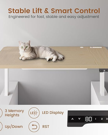 SEDETA 63" Executive Standing Desk with Storage, Executive Height Adjustable Desk with Power Outlets, Large Computer Office Desk with Privacy Panel for Home Office, Natural Oak
