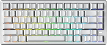 Mars75 Wired Magnetic Switch Keyboard, 75% Layout,0.001MM RT Accuracy, 8KHZ Polling Rate/Latency As 0.125MS/256KHZ Single Key Scan Rate/ARGB，Hot Swappable Gaming Keyboard(White)