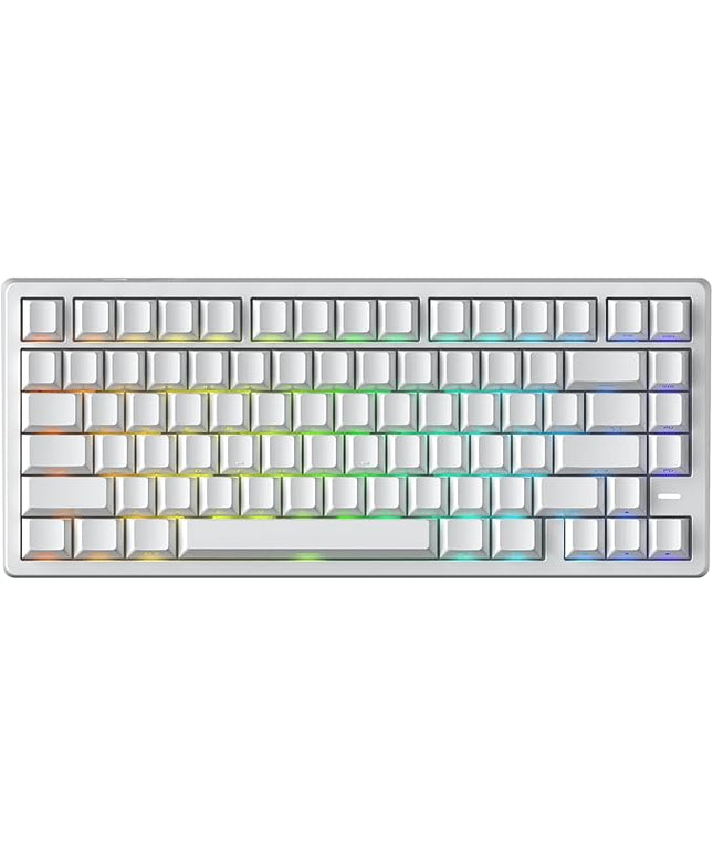 Mars75 Wired Magnetic Switch Keyboard, 75% Layout,0.001MM RT Accuracy, 8KHZ Polling Rate/Latency As 0.125MS/256KHZ Single Key Scan Rate/ARGB，Hot Swappable Gaming Keyboard(White)