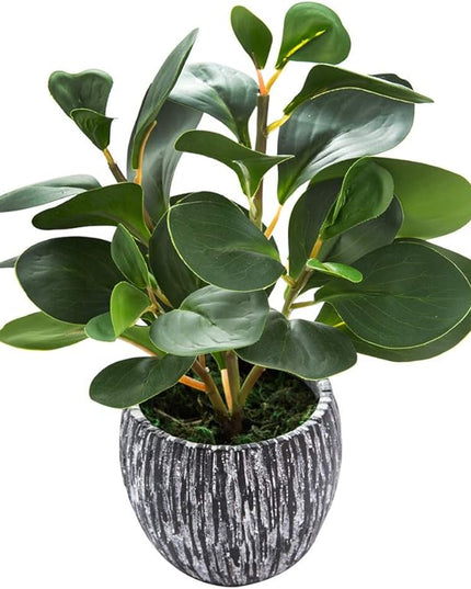 AlphaAcc Artificial Plants Real Looking and Touching Fake Plant Evergreen Plastic Fiddle Leaf Fig Plant with Rustic Black Cement Planter for Housewarming Office Desk Decor