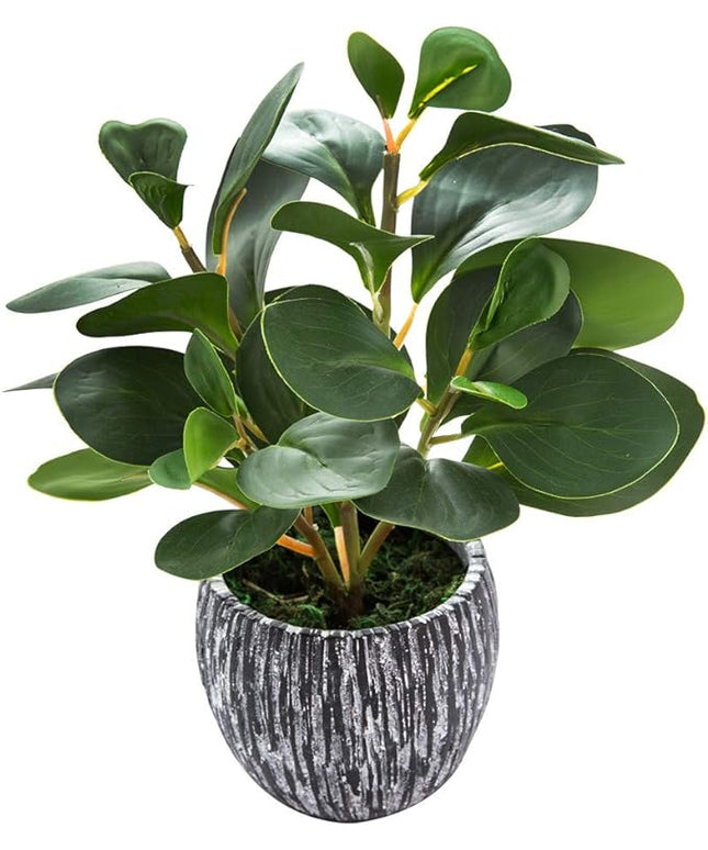 AlphaAcc Artificial Plants Real Looking and Touching Fake Plant Evergreen Plastic Fiddle Leaf Fig Plant with Rustic Black Cement Planter for Housewarming Office Desk Decor