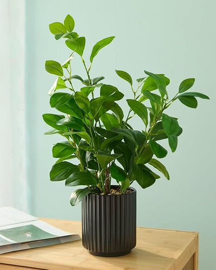 EZBOHO 16 inch Artificial Plants Indoor Realistic Touching Evergreen Leaf Fake Plant with Creamic Black Pot for Home Office Living Room Bathroom Office Table Bookshelf Decor
