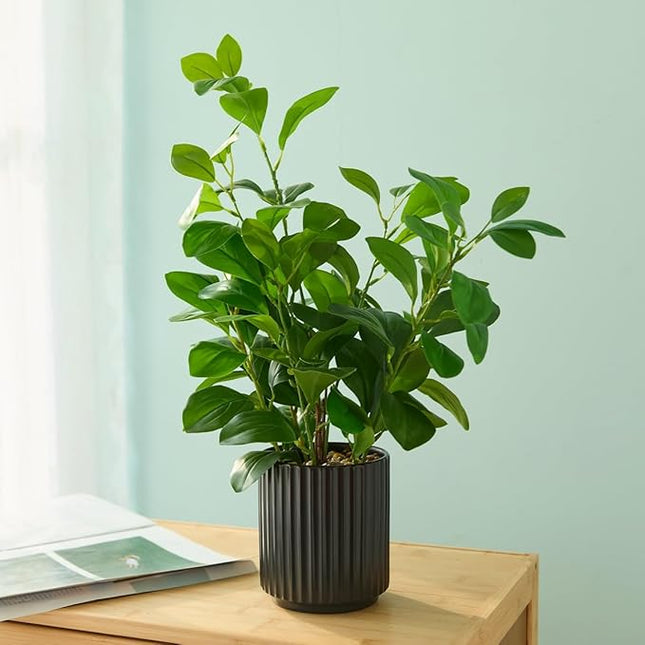 EZBOHO 16 inch Artificial Plants Indoor Realistic Touching Evergreen Leaf Fake Plant with Creamic Black Pot for Home Office Living Room Bathroom Office Table Bookshelf Decor