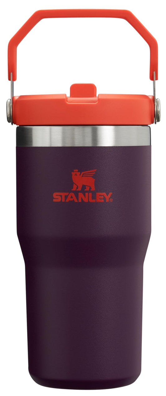 Stanley IceFlow Flip Straw Tumbler with Handle 20 oz | Twist On Lid and Flip Up Straw | Leak Resistant Water Bottle | Insulated Stainless Steel |BPA-Free | Plum