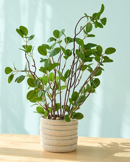 AlphaAcc 12.6" Artificial Plants Fiddle Leaf Fig Decorative Fake Plants Potted in White Round Concrete Planter Realistic Faux Plants Potted for Living Room Kitchen Bedroom Office and Tabletop Decor