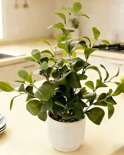 Ewtogift 19'' Artificial Ficus Plant in White Textured Ceramic Pot Realistic Faux Greenery with Lifelike Leaves Fake Plants for Indoor Home Office Bathroom Shelf Desk Tabletop Decor