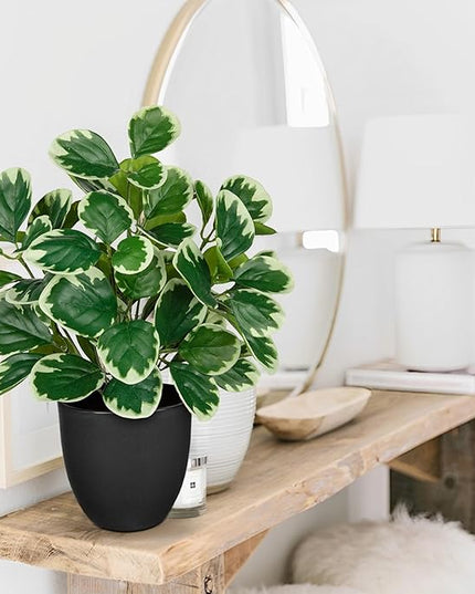 Villa Como 14.5" Artificial Plants Indoor Home Decor, Fake Potted Silk Plants for Shelves Living Room Decorative, Small Artificial Office Desk Plant in Pots, Faux Peperomia Hope Tropical House Plant