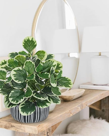 13" Artificial Plants Indoor Small Fake Plant in Ceramic Pot, Silk Plants for Home Decor Indoor, Faux Peperomia Potted Plant for Shelves, Desks, Home, Room, Office, Bedroom, Entryway, Tabletop Decor