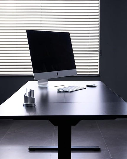 FLEXISPOT 71x32 Inch Large Dual Motor Electric Standing Desk, Black - Computer Desk with Memory Controller, Home Office Desk with Splice Board