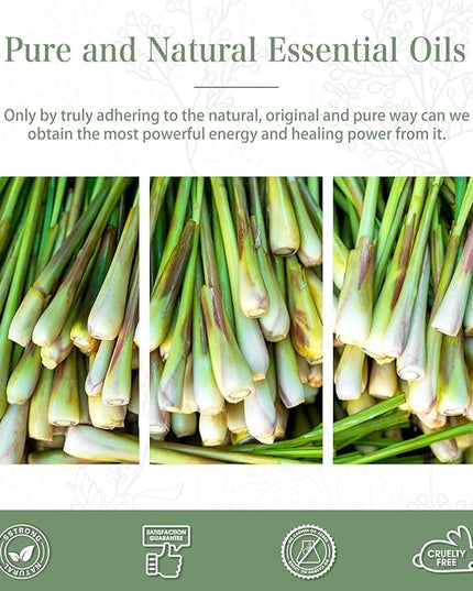 Citronella Essential Oil 1.01fl.oz/30ml, PHATOIL Premium Citronella Oils Long Lasting Scents for Aromatherapy, Diffuser, DIY Soap and Candle Making