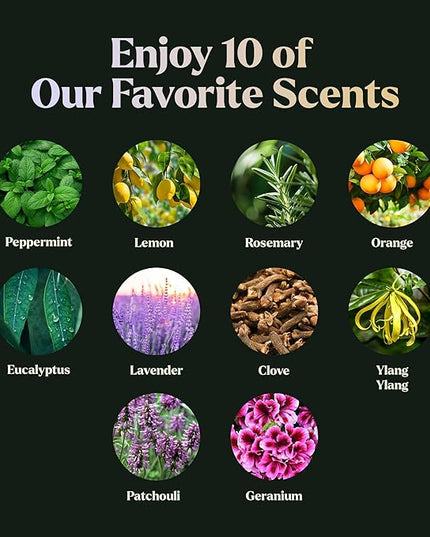 Essential Oils Set - Top 10 Gift Set Blends for Fragrance, Diffusers, Humidifiers, Aromatherapy, Cars & Home Products, Room Sprays, Candle Making, Yoga - Fragrance Oils for Botanical Fresheners Making