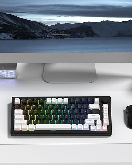 XVX Black and White Keycaps, Shine Through PBT Keycaps Cherry Profile, Custom Key caps Doubleshot 124 Keys Set, Universal Compatiability for 60%, 65%, 75%, 100% Keyboard