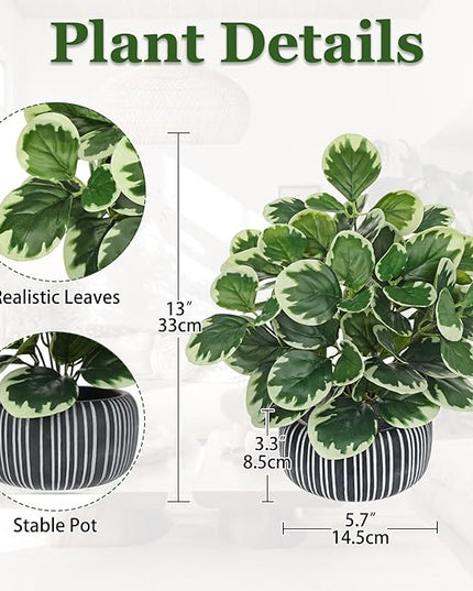 13" Artificial Plants Indoor Small Fake Plant in Ceramic Pot, Silk Plants for Home Decor Indoor, Faux Peperomia Potted Plant for Shelves, Desks, Home, Room, Office, Bedroom, Entryway, Tabletop Decor