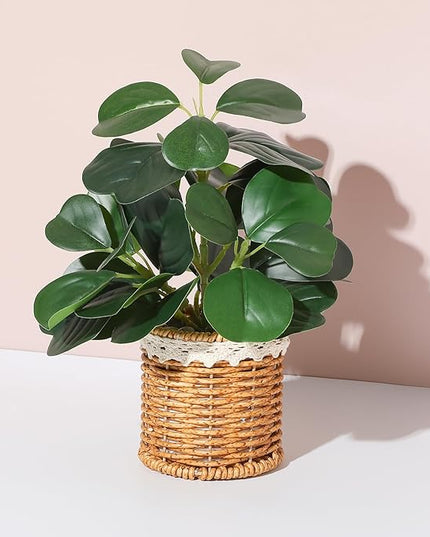 Nubry Fake Plants Artificial Potted Plants with Weaved Pot for Shelf & Table Desk | Perfect for Home Office Bathroom Farmhouse Room Coffee Table Decor 10‘’