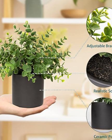 3 Pack Small Fake Plants for Shelf Decor Accents with Ceramic Pot Artificial Potted Plants for Rustic Farmhouse Decor Faux Plants Indoor Fake Potted Plants Artificial for Home Office Bookshelf Decor