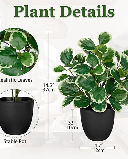 Villa Como 14.5" Artificial Plants Indoor Home Decor, Fake Potted Silk Plants for Shelves Living Room Decorative, Small Artificial Office Desk Plant in Pots, Faux Peperomia Hope Tropical House Plant