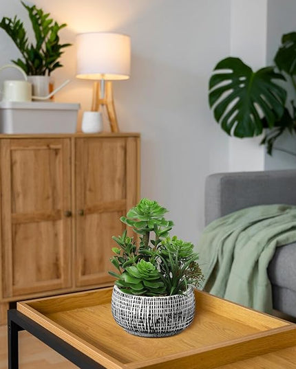 Villa Como 10” Large Succulents Plants Artificial in Ceramic Pots Potted Faux Succulent Arrangement with Black Bowl Pots Fake Desk Succulents Plants for Home Bathroom Shelf Table Indoor Decor