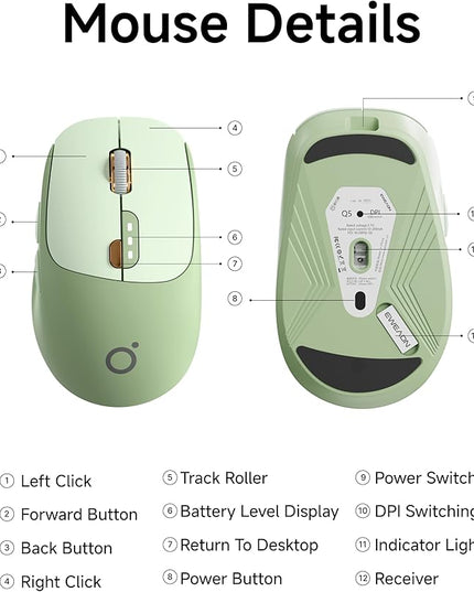 EWEADN Q5 Wireless Mouse, Bluetooth & 2.4G Quiet Computer Mouses with 1600 DPI, Battery Level Display, Ergonomic Office Mouse,6 Button Portable Cute Cordless Mice for Laptop/PC/Mac- Green