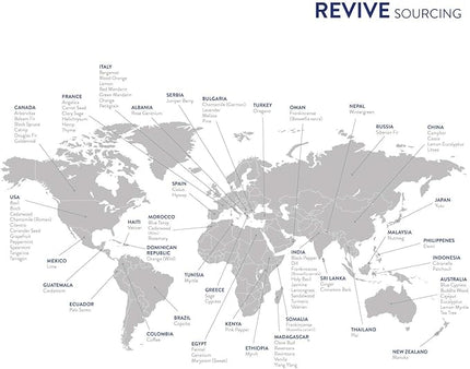 Calm Essential Oil Blend by REVIVEEO - 100% Pure Therapeutic Grade, for Diffuser, Humidifier, Massage, Aromatherapy, Skin & Hair Care