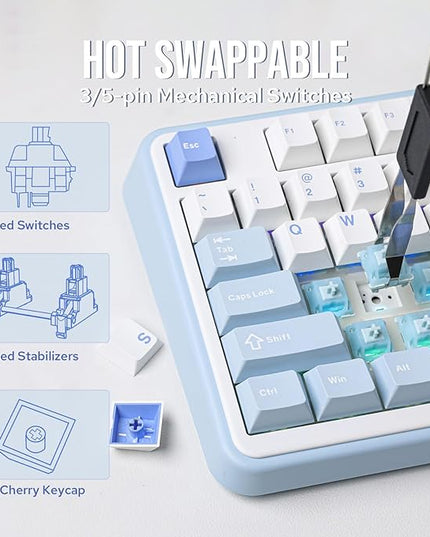 EPOMAKER TH99 Tri-Mode Wireless Mechanical Keyboard with 8000mAh Battery, Hot Swappable Custom RGB Gaming Keyboard with Numpad, Gasket Creamy for PC/Mac/Office (Blue&White, Creamy Jade)