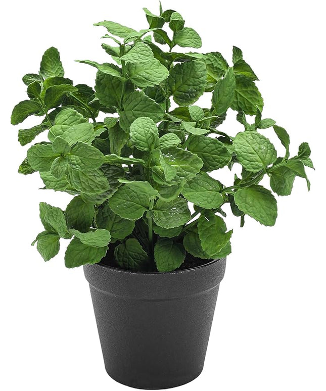 Coferset Small Fake Plants Mint Artificial Potted Plants for Home Office Bathroom Shelf Farmhouse Coffee Table Decor (Green)